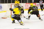 Photo hockey match Strasbourg  - Rouen le 21/01/2014