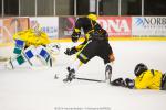 Photo hockey match Strasbourg  - Rouen le 21/01/2014