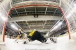 Photo hockey match Strasbourg  - Rouen le 21/01/2014