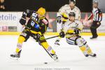 Photo hockey match Strasbourg  - Rouen le 23/09/2014