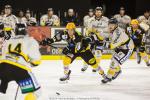Photo hockey match Strasbourg  - Rouen le 23/09/2014