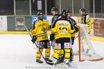 Photo hockey match Strasbourg  - Rouen le 20/02/2011