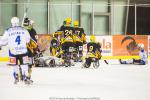 Photo hockey match Strasbourg II - Courchevel-Mribel-Pralognan le 22/02/2014