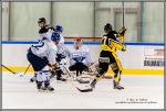 Photo hockey match Strasbourg II - Paris (FV) le 17/09/2016