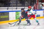 Photo hockey match Toulouse-Blagnac - Anglet le 19/10/2022