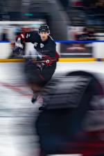 Photo hockey match Toulouse-Blagnac - Annecy le 17/01/2026