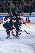 Photo hockey match Toulouse-Blagnac - Annecy le 17/01/2026