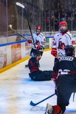 Photo hockey match Toulouse-Blagnac - Annecy le 17/01/2026