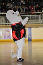 Photo hockey match Toulouse-Blagnac - Bordeaux le 12/02/2011