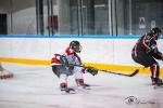 Photo hockey match Toulouse-Blagnac - Colmar le 09/10/2021