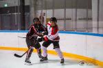 Photo hockey match Toulouse-Blagnac - Colmar le 09/10/2021