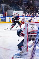 Photo hockey match Toulouse-Blagnac - Dijon  le 31/01/2026