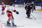 Photo hockey match Toulouse-Blagnac - Dijon  le 31/01/2026