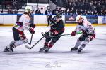 Photo hockey match Toulouse-Blagnac - La Roche-sur-Yon le 15/03/2026