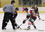 Photo hockey match Toulouse-Blagnac - Mulhouse le 28/01/2012