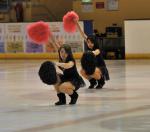 Photo hockey match Toulouse-Blagnac - Nice le 15/01/2011