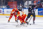 Photo hockey match Toulouse-Blagnac - Orlans le 08/03/2025