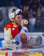 Photo hockey match Toulouse-Blagnac - Orlans le 08/03/2025