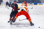 Photo hockey match Toulouse-Blagnac - Orlans le 08/03/2025