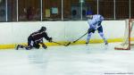 Photo hockey match Toulouse-Blagnac - Paris (FV) le 15/02/2020