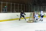 Photo hockey match Toulouse-Blagnac - Paris (FV) le 15/02/2020