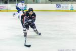 Photo hockey match Toulouse-Blagnac - Paris (FV) le 15/02/2020