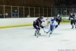 Photo hockey match Toulouse-Blagnac - Paris (FV) le 15/02/2020