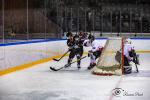 Photo hockey match Toulouse-Blagnac - Poitiers le 22/01/2022