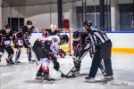 Photo hockey match Toulouse-Blagnac - Poitiers le 22/01/2022