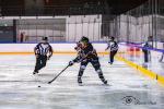 Photo hockey match Toulouse-Blagnac - Poitiers le 22/01/2022