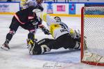 Photo hockey match Toulouse-Blagnac - Roanne le 20/01/2024