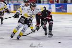 Photo hockey match Toulouse-Blagnac - Roanne le 20/01/2024