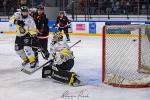 Photo hockey match Toulouse-Blagnac - Roanne le 20/01/2024