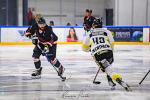Photo hockey match Toulouse-Blagnac - Roanne le 20/01/2024