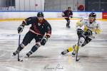 Photo hockey match Toulouse-Blagnac - Roanne le 20/01/2024