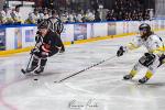 Photo hockey match Toulouse-Blagnac - Roanne le 20/01/2024