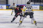 Photo hockey match Toulouse-Blagnac - Roanne le 20/01/2024