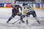 Photo hockey match Toulouse-Blagnac - Roanne le 20/01/2024