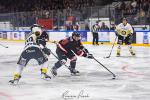 Photo hockey match Toulouse-Blagnac - Roanne le 20/01/2024