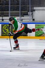 Photo hockey match Toulouse-Blagnac - Roanne le 15/11/2025