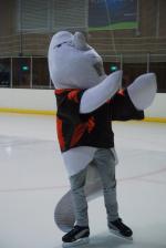 Photo hockey match Toulouse-Blagnac - Tours  le 05/04/2014