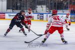 Photo hockey match Toulouse-Blagnac - Valence le 23/03/2025