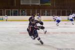 Photo hockey match Toulouse-Blagnac - Villard-de-Lans le 29/02/2020