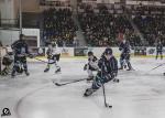 Photo hockey match Tours  - Brest  le 25/11/2023