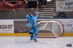 Photo hockey match Tours  - Cergy-Pontoise le 08/02/2014