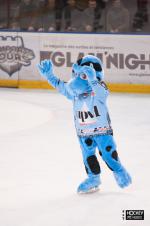 Photo hockey match Tours  - Cergy-Pontoise le 08/02/2014