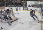 Photo hockey match Tours  - Dunkerque le 13/01/2024