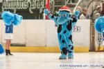 Photo hockey match Tours  - Nantes le 20/12/2014