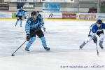 Photo hockey match Tours  - Nantes le 20/12/2014