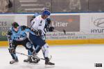 Photo hockey match Tours  - Paris (FV) le 18/01/2014
